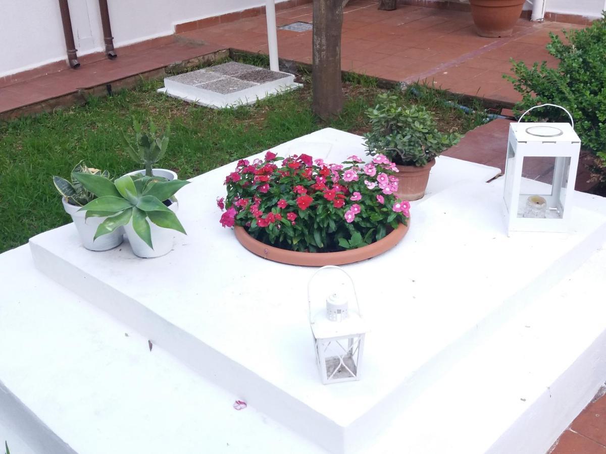 Casa Agrumeto - Locazione Turistica Mondello Eksteriør bilde