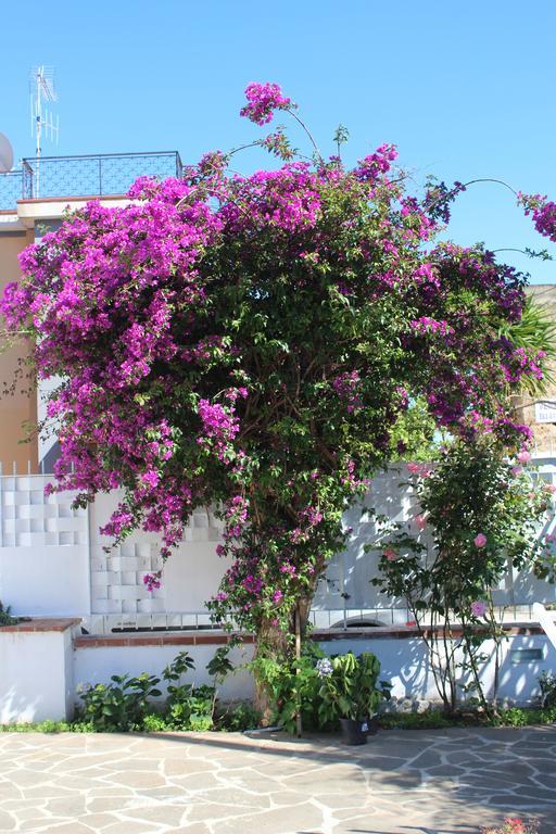 Casa Agrumeto - Locazione Turistica Mondello Rom bilde