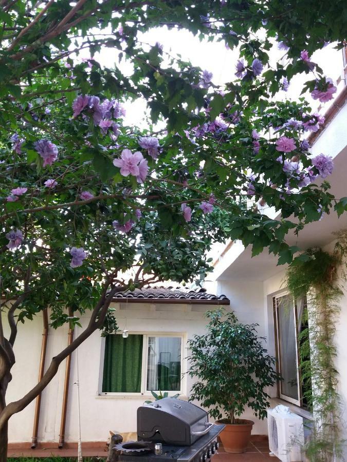 Casa Agrumeto - Locazione Turistica Mondello Eksteriør bilde
